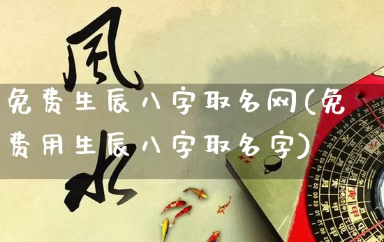 免费生辰八字取名网(免费用生辰八字取名字)_https://www.dao-sheng-yuan.com_五行_第1张