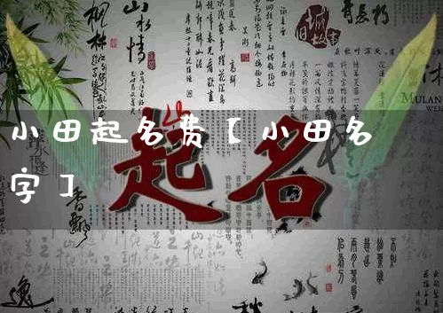 小田起名费【小田名字】_https://www.dao-sheng-yuan.com_起名_第1张