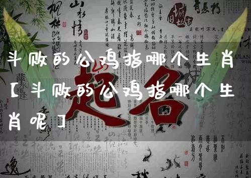 斗败的公鸡指哪个生肖【斗败的公鸡指哪个生肖呢】_https://www.dao-sheng-yuan.com_八字_第1张