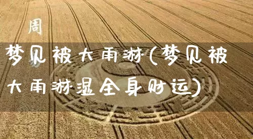 梦见被大雨淋(梦见被大雨淋湿全身财运)_https://www.dao-sheng-yuan.com_道源国学_第1张