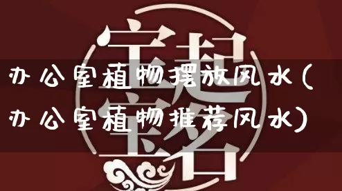 办公室植物摆放风水(办公室植物推荐风水)_https://www.dao-sheng-yuan.com_起名_第1张