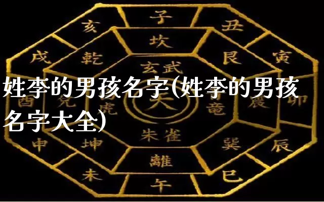 姓李的男孩名字(姓李的男孩名字大全)_https://www.dao-sheng-yuan.com_周公解梦_第1张