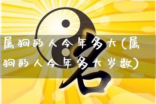属狗的人今年多大(属狗的人今年多大岁数)_https://www.dao-sheng-yuan.com_五行_第1张