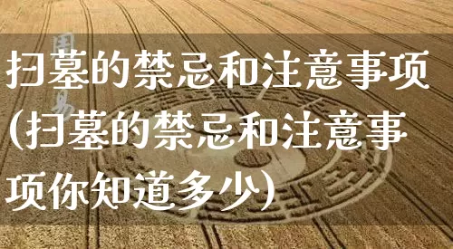 扫墓的禁忌和注意事项(扫墓的禁忌和注意事项你知道多少)_https://www.dao-sheng-yuan.com_易经_第1张