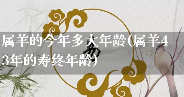 属羊的今年多大年龄(属羊43年的寿终年龄)_https://www.dao-sheng-yuan.com_周公解梦_第1张