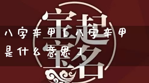 八字辛甲【八字辛甲是什么意思】_https://www.dao-sheng-yuan.com_八字_第1张