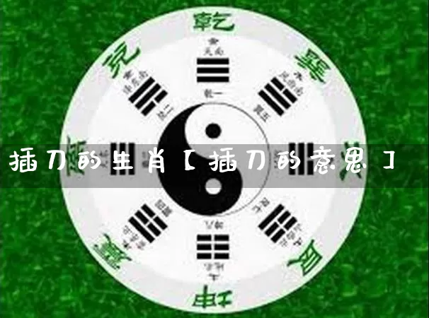 插刀的生肖【插刀的意思】_https://www.dao-sheng-yuan.com_道源国学_第1张