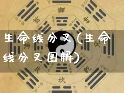 生命线分叉(生命线分叉图解)_https://www.dao-sheng-yuan.com_风水_第1张
