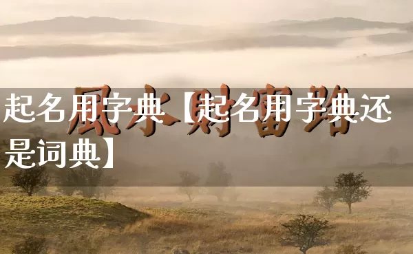 起名用字典【起名用字典还是词典】_https://www.dao-sheng-yuan.com_起名_第1张