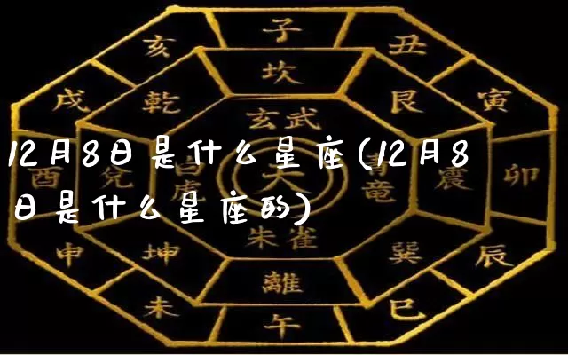 12月8日是什么星座(12月8日是什么星座的)_https://www.dao-sheng-yuan.com_十二星座_第1张