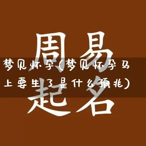 梦见怀孕(梦见怀孕马上要生了是什么预兆)_道源国学_第1张_道圣缘 梦见怀孕(梦见怀孕马上要生了是什么预兆)_https://www.dao-sheng-yuan.com_道源国学_第1张