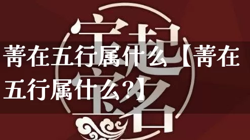 菁在五行属什么【菁在五行属什么?】_https://www.dao-sheng-yuan.com_八字_第1张