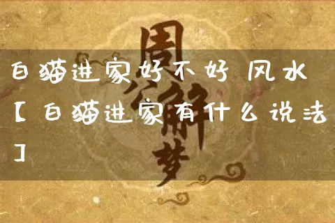 白猫进家好不好 风水【白猫进家有什么说法】_风水_第1张_道圣缘 白猫进家好不好 风水【白猫进家有什么说法】_https://www.dao-sheng-yuan.com_风水_第1张