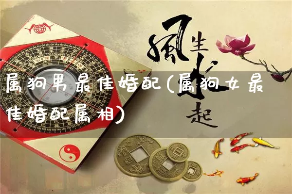 属狗男最佳婚配(属狗女最佳婚配属相)_https://www.dao-sheng-yuan.com_算命_第1张