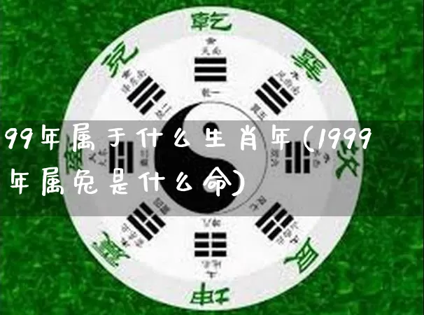 99年属于什么生肖年(1999年属兔是什么命)_https://www.dao-sheng-yuan.com_八字_第1张