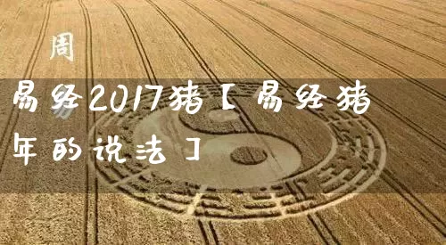 易经2017猪【易经猪年的说法】_https://www.dao-sheng-yuan.com_易经_第1张