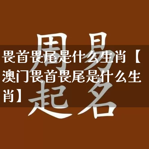 畏首畏尾是什么生肖【澳门畏首畏尾是什么生肖】_https://www.dao-sheng-yuan.com_生肖属相_第1张