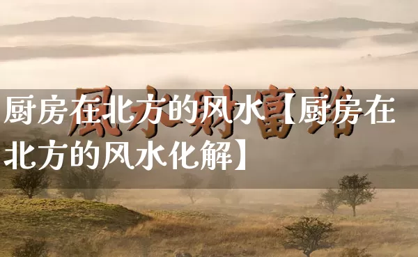 厨房在北方的风水【厨房在北方的风水化解】_https://www.dao-sheng-yuan.com_五行_第1张