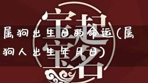 属狗出生日的命运(属狗人出生年月日)_https://www.dao-sheng-yuan.com_生肖属相_第1张