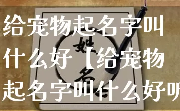 给宠物起名字叫什么好【给宠物起名字叫什么好听】_https://www.dao-sheng-yuan.com_周公解梦_第1张