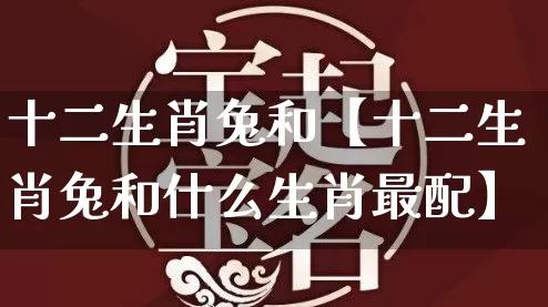 十二生肖兔和【十二生肖兔和什么生肖最配】_https://www.dao-sheng-yuan.com_生肖属相_第1张