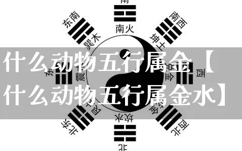 什么动物五行属金【什么动物五行属金水】_https://www.dao-sheng-yuan.com_周公解梦_第1张