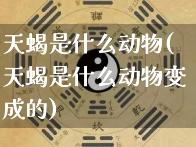 天蝎是什么动物(天蝎是什么动物变成的)_https://www.dao-sheng-yuan.com_起名_第1张