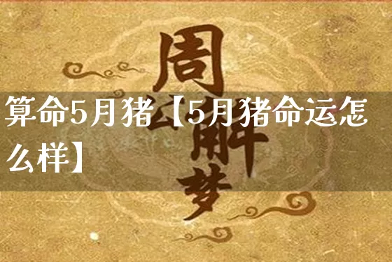 算命5月猪【5月猪命运怎么样】_https://www.dao-sheng-yuan.com_十二星座_第1张