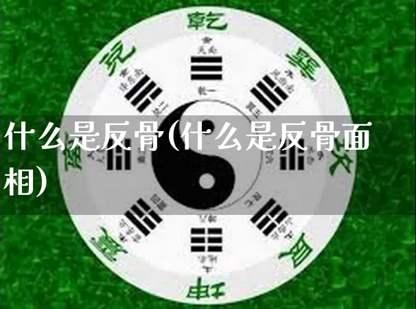 什么是反骨(什么是反骨面相)_https://www.dao-sheng-yuan.com_五行_第1张