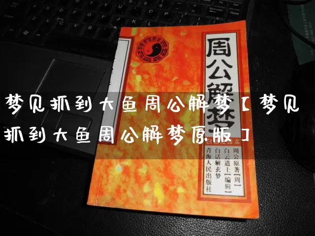 梦见抓到大鱼周公解梦【梦见抓到大鱼周公解梦原版】_https://www.dao-sheng-yuan.com_风水_第1张