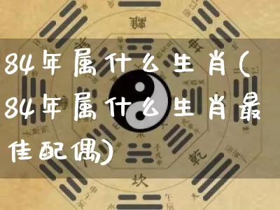 84年属什么生肖(84年属什么生肖最佳配偶)_https://www.dao-sheng-yuan.com_八字_第1张