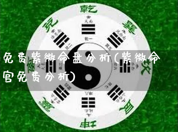 免费紫微命盘分析(紫微命宫免费分析)_https://www.dao-sheng-yuan.com_道源国学_第1张