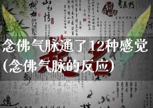 念佛气脉通了12种感觉(念佛气脉的反应)_https://www.dao-sheng-yuan.com_起名_第1张