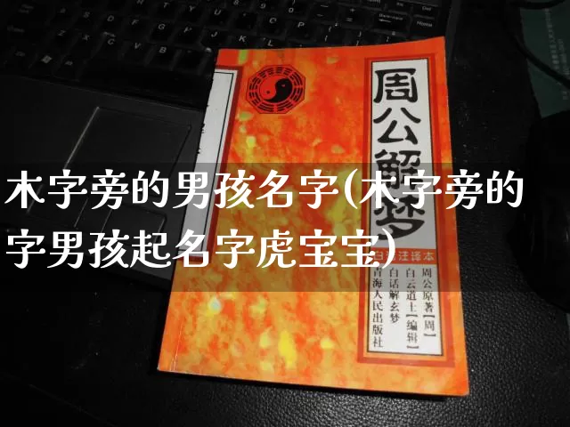 木字旁的男孩名字(木字旁的字男孩起名字虎宝宝)_https://www.dao-sheng-yuan.com_八字_第1张