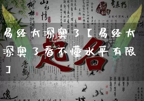 易经太深奥了【易经太深奥了看不懂水平有限】_https://www.dao-sheng-yuan.com_十二星座_第1张