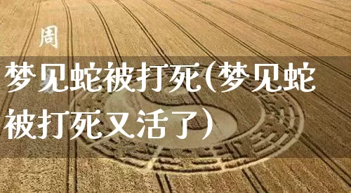 梦见蛇被打死(梦见蛇被打死又活了)_https://www.dao-sheng-yuan.com_算命_第1张