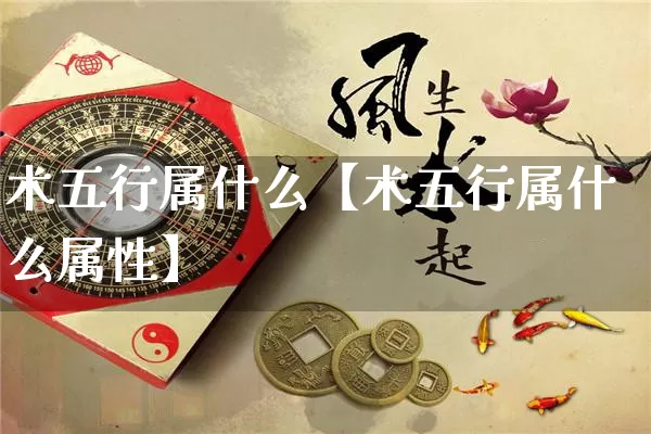 术五行属什么【术五行属什么属性】_https://www.dao-sheng-yuan.com_生肖属相_第1张