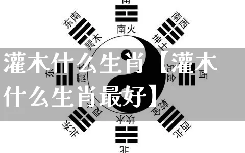 灌木什么生肖【灌木什么生肖最好】_https://www.dao-sheng-yuan.com_风水_第1张