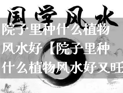 院子里种什么植物风水好【院子里种什么植物风水好又旺财】_https://www.dao-sheng-yuan.com_风水_第1张