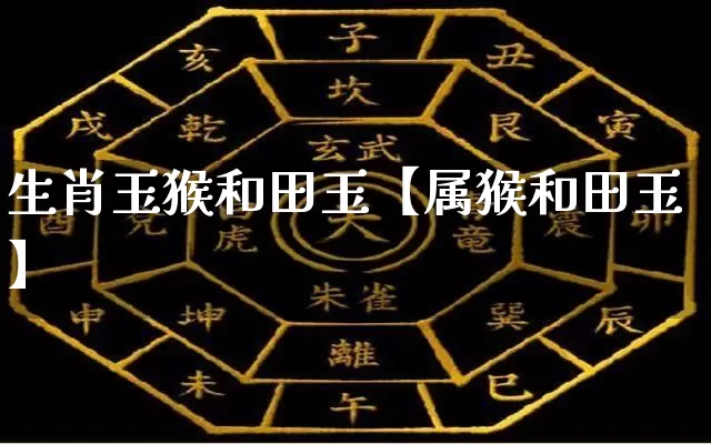 生肖玉猴和田玉【属猴和田玉】_https://www.dao-sheng-yuan.com_生肖属相_第1张