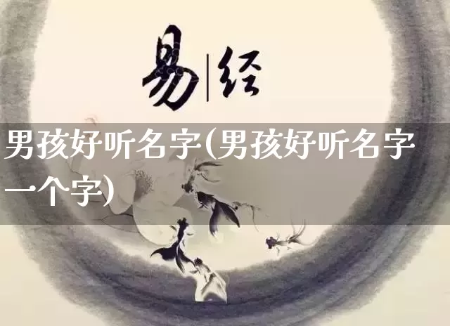 男孩好听名字(男孩好听名字一个字)_https://www.dao-sheng-yuan.com_八字_第1张