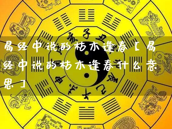 易经中说的枯木逢春【易经中说的枯木逢春什么意思】_https://www.dao-sheng-yuan.com_生肖属相_第1张