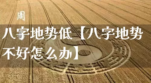 八字地势低【八字地势不好怎么办】_https://www.dao-sheng-yuan.com_八字_第1张