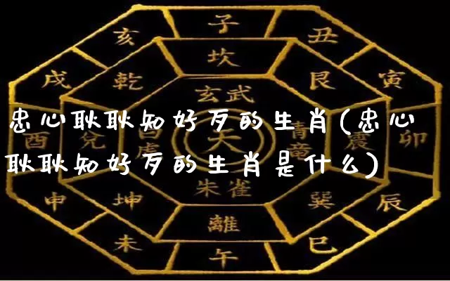 忠心耿耿知好歹的生肖(忠心耿耿知好歹的生肖是什么)_https://www.dao-sheng-yuan.com_生肖属相_第1张