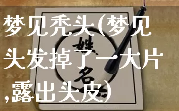 梦见秃头(梦见头发掉了一大片,露出头皮)_https://www.dao-sheng-yuan.com_十二星座_第1张