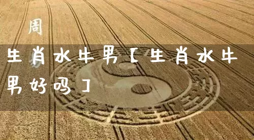 生肖水牛男【生肖水牛男好吗】_https://www.dao-sheng-yuan.com_生肖属相_第1张