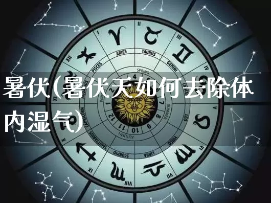 暑伏(暑伏天如何去除体内湿气)_https://www.dao-sheng-yuan.com_周公解梦_第1张