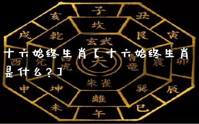 十六始终生肖【十六始终生肖是什么?】_https://www.dao-sheng-yuan.com_五行_第1张