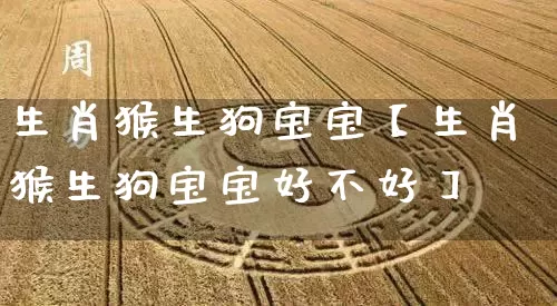 生肖猴生狗宝宝【生肖猴生狗宝宝好不好】_https://www.dao-sheng-yuan.com_十二星座_第1张