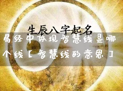 易经中体现智慧线是哪个线【智慧线的意思】_https://www.dao-sheng-yuan.com_八字_第1张